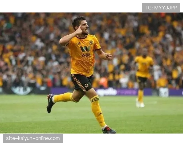 内维斯与罗德里：控场后腰的战术角色与体系适配解析